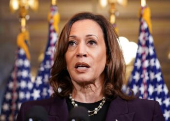 Kamala Harris shifts tone on Gaza, but advocates say US voters want more | US Election 2024 News