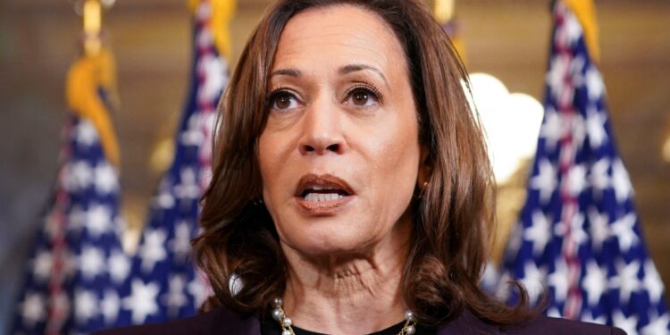 Kamala Harris shifts tone on Gaza, but advocates say US voters want more | US Election 2024 News