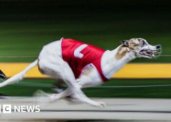 Australia’s greyhound racing industry battles new claims of abuse