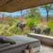 I’ve Been a Travel Writer for Years and This South African Safari Lodge Is the Nicest Place I’ve Ever Stayed