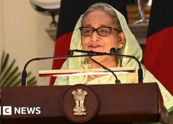 Murder case brought against Bangladesh’s ex-PM