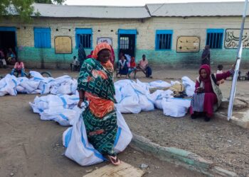Sudan war mediators welcome new pledges on humanitarian access | Conflict News
