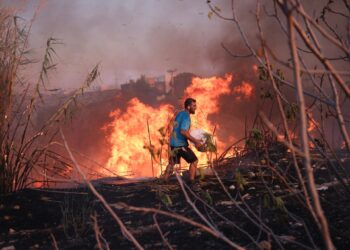 How serious are the wildfires near Athens, Greece? | Weather News