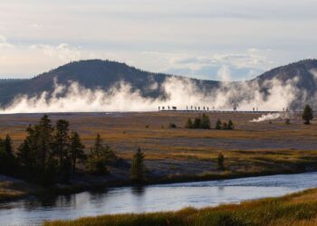 6 Mistakes to Avoid in Yellowstone National Park, According to a Local