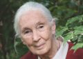 Jane Goodall Thinks It’s Not Too Late to Save the World