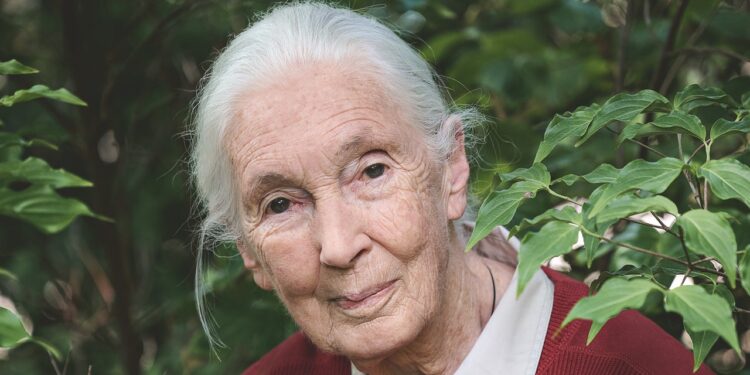 Jane Goodall Thinks It’s Not Too Late to Save the World