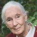 Jane Goodall Thinks It’s Not Too Late to Save the World