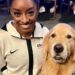 Meet Beacon, Team USA’s Therapy Dog