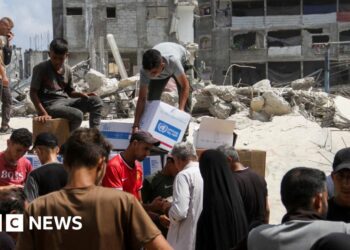 UN World Food Programme halts Gaza staff movements