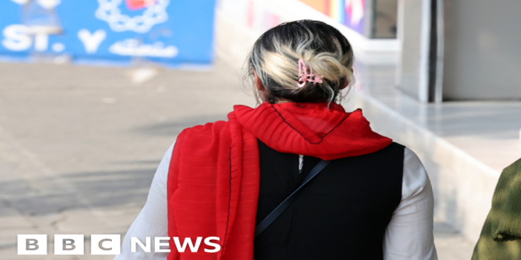 Iran’s morality police will not ‘bother’ women, president says