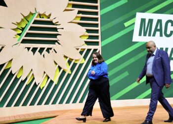 German Green party leaders resign after election losses | Politics News