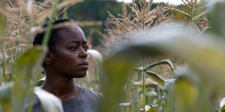 Visit Takes World Sales for TIFF Danielle Deadwyler Drama ’40 Acres’