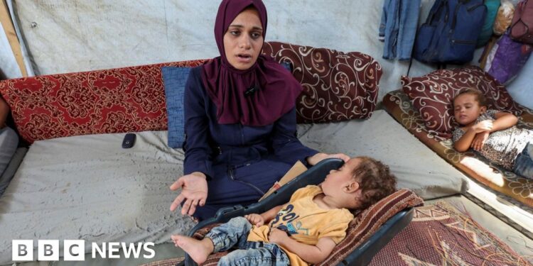 UN agencies start rollout of Gaza polio vaccines