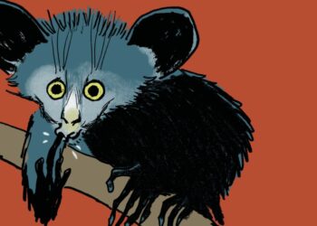 Aurel Preps Animated Western ‘Desert’