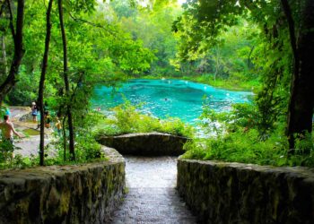 Guide to Florida’s Ichetucknee Springs State Park