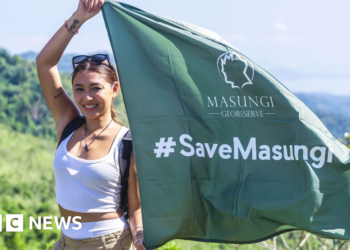 Philippine reserve targeted by online smear campaign