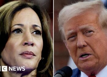 Why Harris won’t mention China