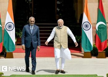 Indian financial aid opens ‘new chapter’ with Maldives