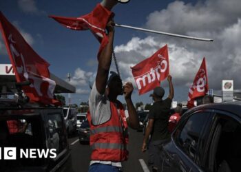 France to cut Martinique prices over cost of living unrest