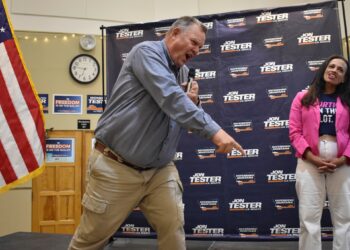 Could the US Senate flip to the right? Eight races to watch this election | Elections News