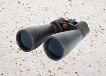 Best Binoculars (2024): Nikon, Celestron, Swarovski, Zeiss