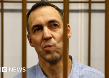 Russia jails French researcher in ‘foreign agent’ case