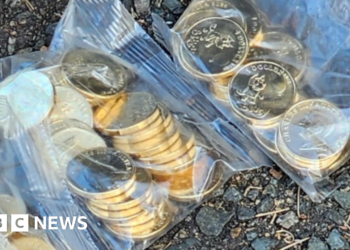 Police recover more than 40,000 stolen Bluey coins