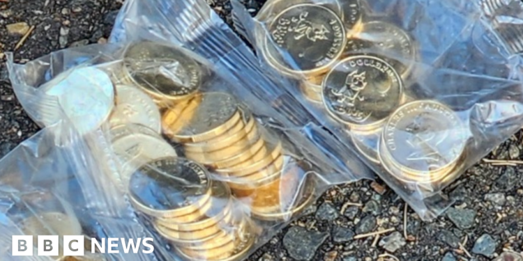 Police recover more than 40,000 stolen Bluey coins