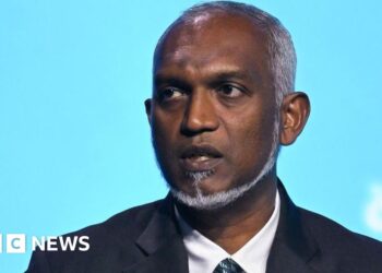 Maldives leader Muizzu to seek India bailout despite strained ties