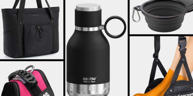 12 Frequent Flier Service Dog Travel Essentials