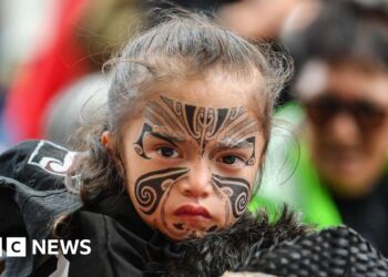 Maori protest as hikoi reaches Wellington