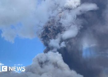 Indonesia’s Mount Lewotobi Laki-laki spews giant column of ash
