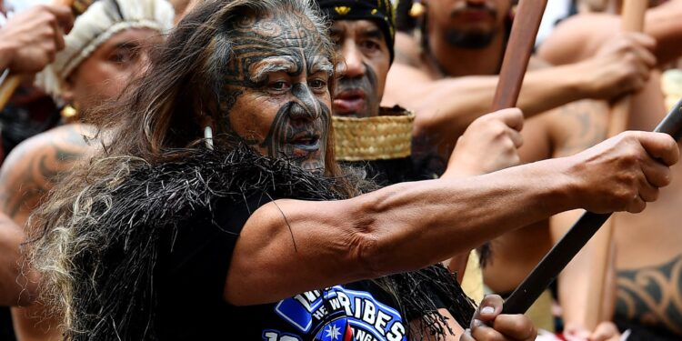 Why are New Zealand’s Maori protesting over colonial-era treaty bill? | Civil Rights News
