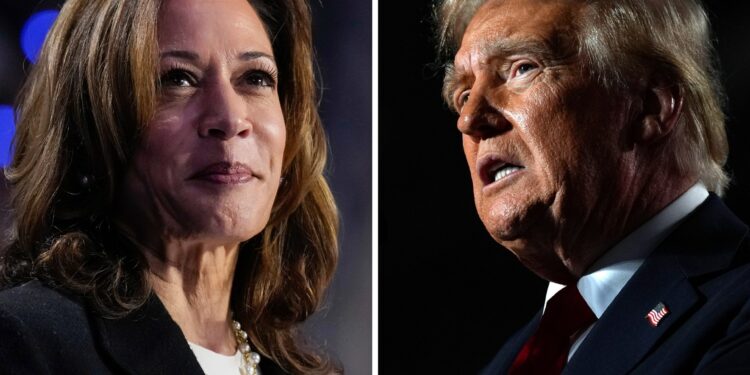 Harris and Trump hold last Friday night rallies in battleground Milwaukee | US Election 2024 News