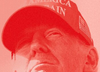 Did Elon Musk Win the Election for Trump?