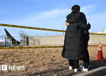 Anger as families wait for victims’ remains after South Korea plane crash