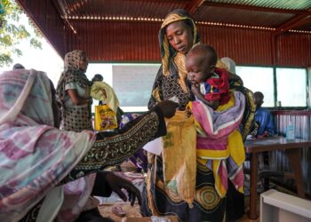 At least 38 killed in drone attack on Sudan’s el-Fasher: Activists | Sudan war News