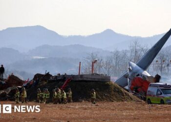 Dozens dead at Muan airport