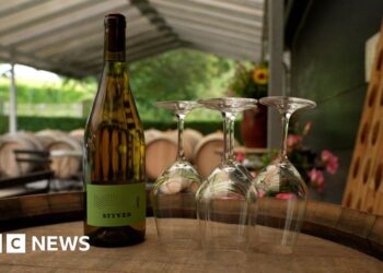 Scandi wines hope to win over drinkers