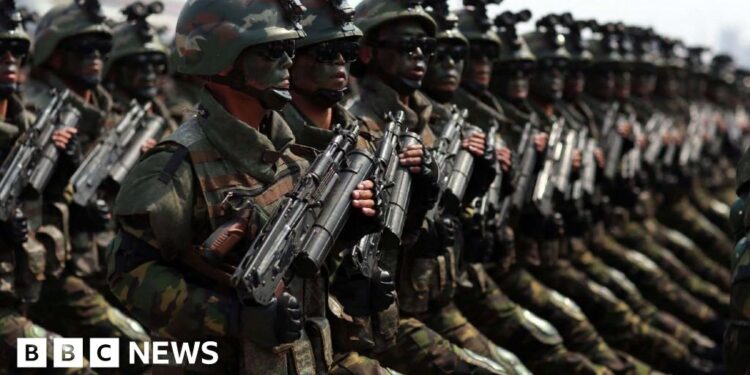Ukraine captures North Korean soldier in Russia, says Seoul