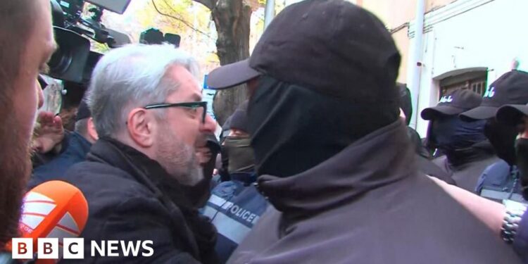 Georgian opposition leader dragged from party offices by police