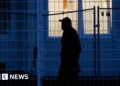 Syrian asylum seekers in limbo as countries halt applications