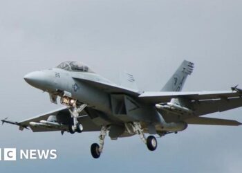 US pilots shot down over Red Sea in ‘friendly fire’