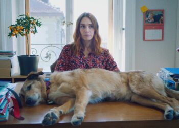 Zany Courtroom Comedy With a Canine Star Turn