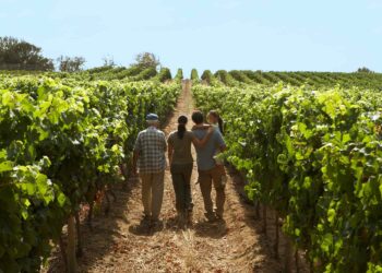 3 Wine-focused Trips That Will Ignite All 5 Senses