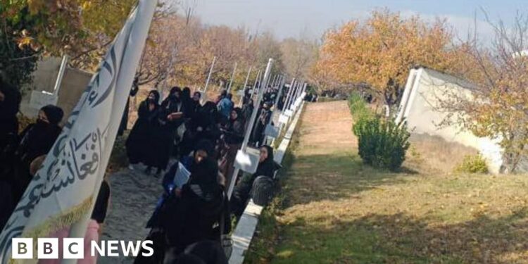 Women suspended from midwife and nurse training