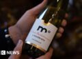 Whisper it – alcohol-free wine has arrived in France