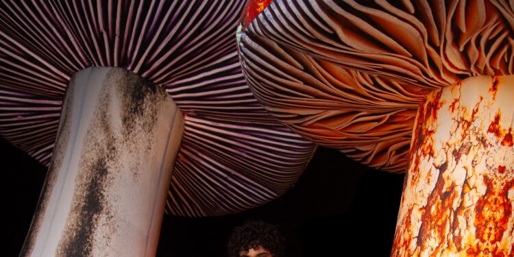 MSGM Fall 2025 Menswear Collection