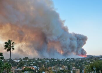 How You Can Help Victims of the Los Angeles County Wildfires