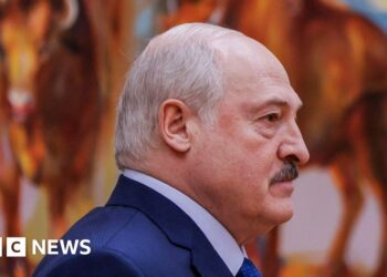 ‘There is no alternative to Lukashenko’